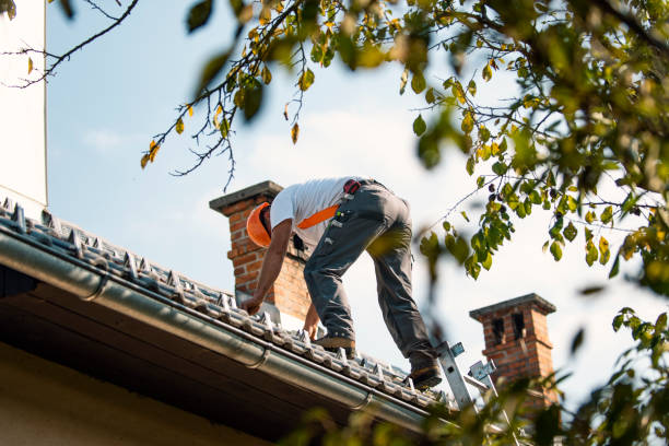 Best Local Roofing Companies  in Carrizo Hill, TX