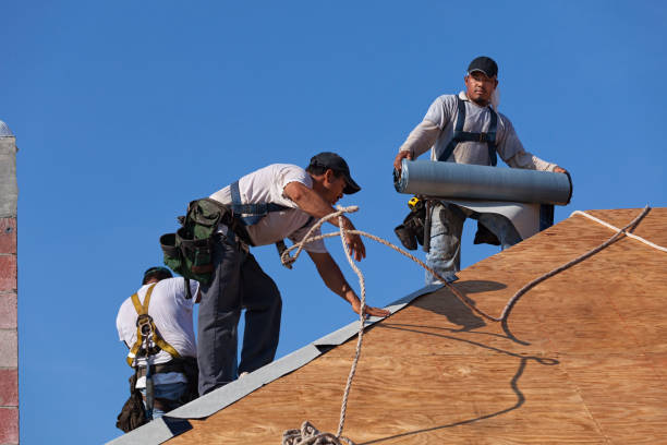 Best Commercial Roofing Services  in Carrizo Hill, TX