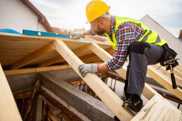 Best Residential Roofing Contractor  in Carrizo Hill, TX