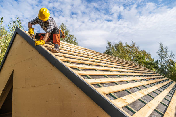 Quick and Trustworthy Emergency Roof Repair Services in Carrizo Hill, TX