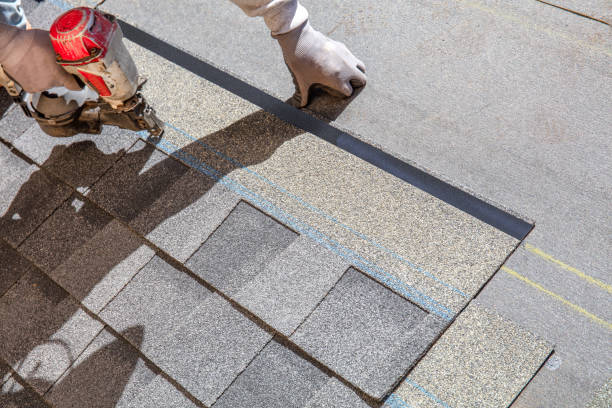 Best Roof Repair Services  in Carrizo Hill, TX